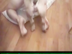 Milf jugando con el perro