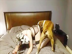 My real wife was fucked by our dog