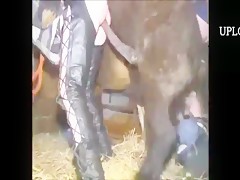 mujer follada por un caballo