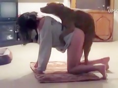 pelea sexual con perro