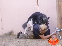 licking and sucking a big dog cock