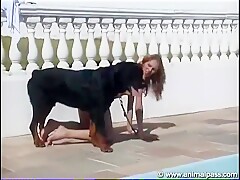 Brazilian sex with dog in pool AnimalPass