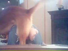 Dog fucks fat
