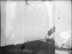 ZooSkool - Shepherd me hard