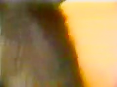 ZooSkool - Dogsitter