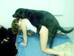 girls sucking dog dick