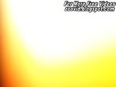 Perro y medias de rejilla