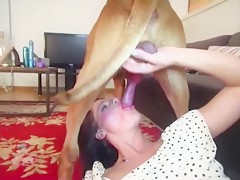 Dog Cumshot Compilation