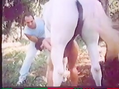 Gag On Horse Cum