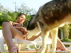 brazilian girls sex with dogs anal