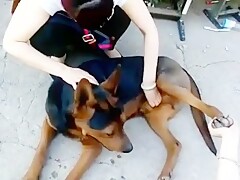 Chinese masturbate dog