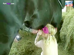 Girl Horsefuck