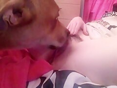Lick pussy