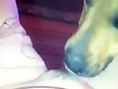 licking mommy's pussy