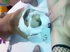 My Dog Licking