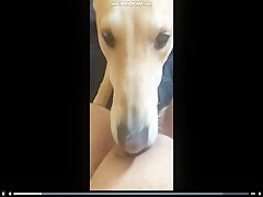 pussy lick