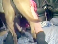 Classic Dog Sex