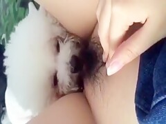 Dog licking Chinese teen