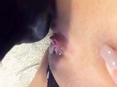 Dog licks honey off of pussy