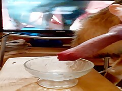 My dog 1