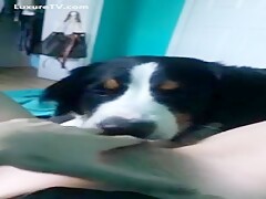 alone wiht her dog