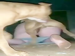 letting the dog mount on her