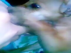 Puppy trying to drink mummy's Milk